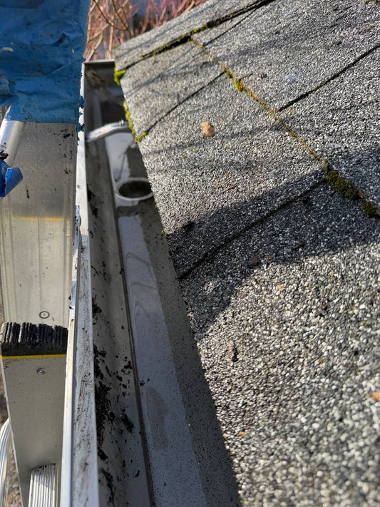 Gutter Cleaning Seattle Area | 24 Solve Handyman