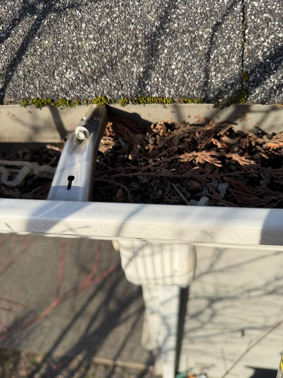 Gutter with accumulated leaves and debris on a roof