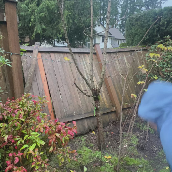 Fence Build & Repair in Seattle & Bothell, WA