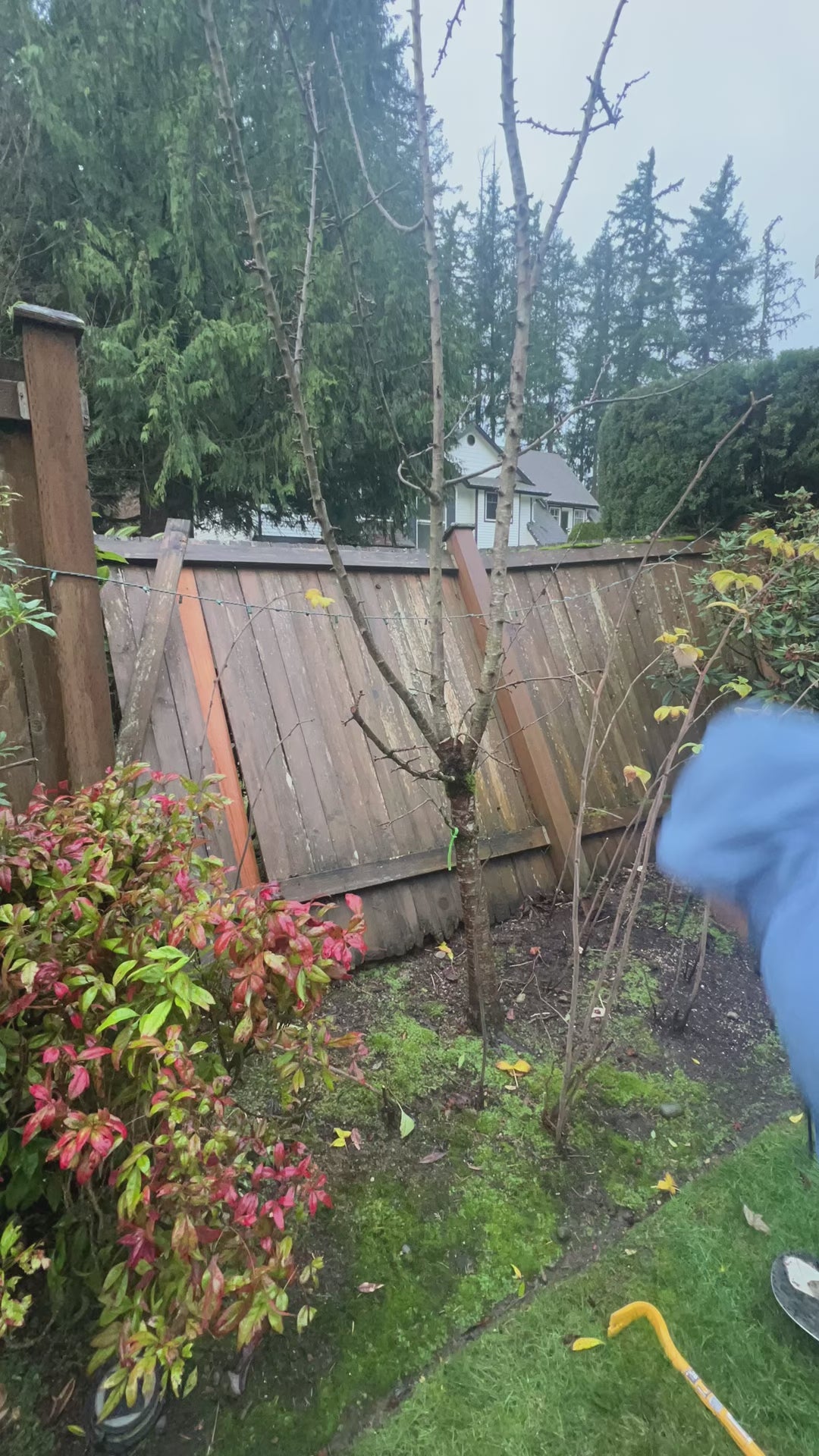 Fence Build & Repair in Seattle & Bothell, WA