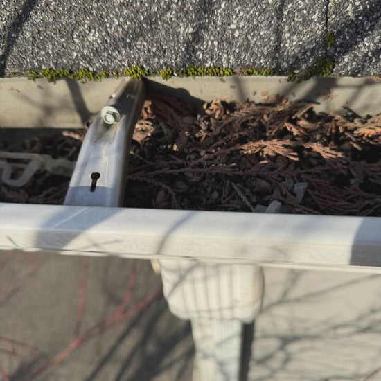 Gutter Cleaning Seattle Area | 24 Solve Handyman