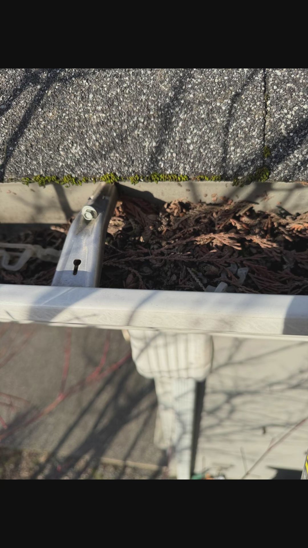 Gutter Cleaning Seattle Area | 24 Solve Handyman