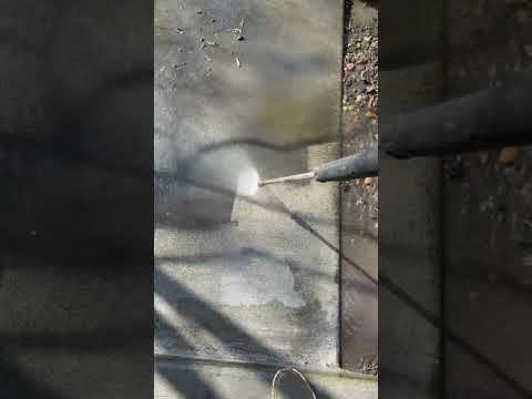 Driveway, Stairs & Porch Pressure Washing — Seattle Area Before & After